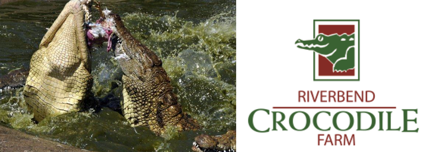croc